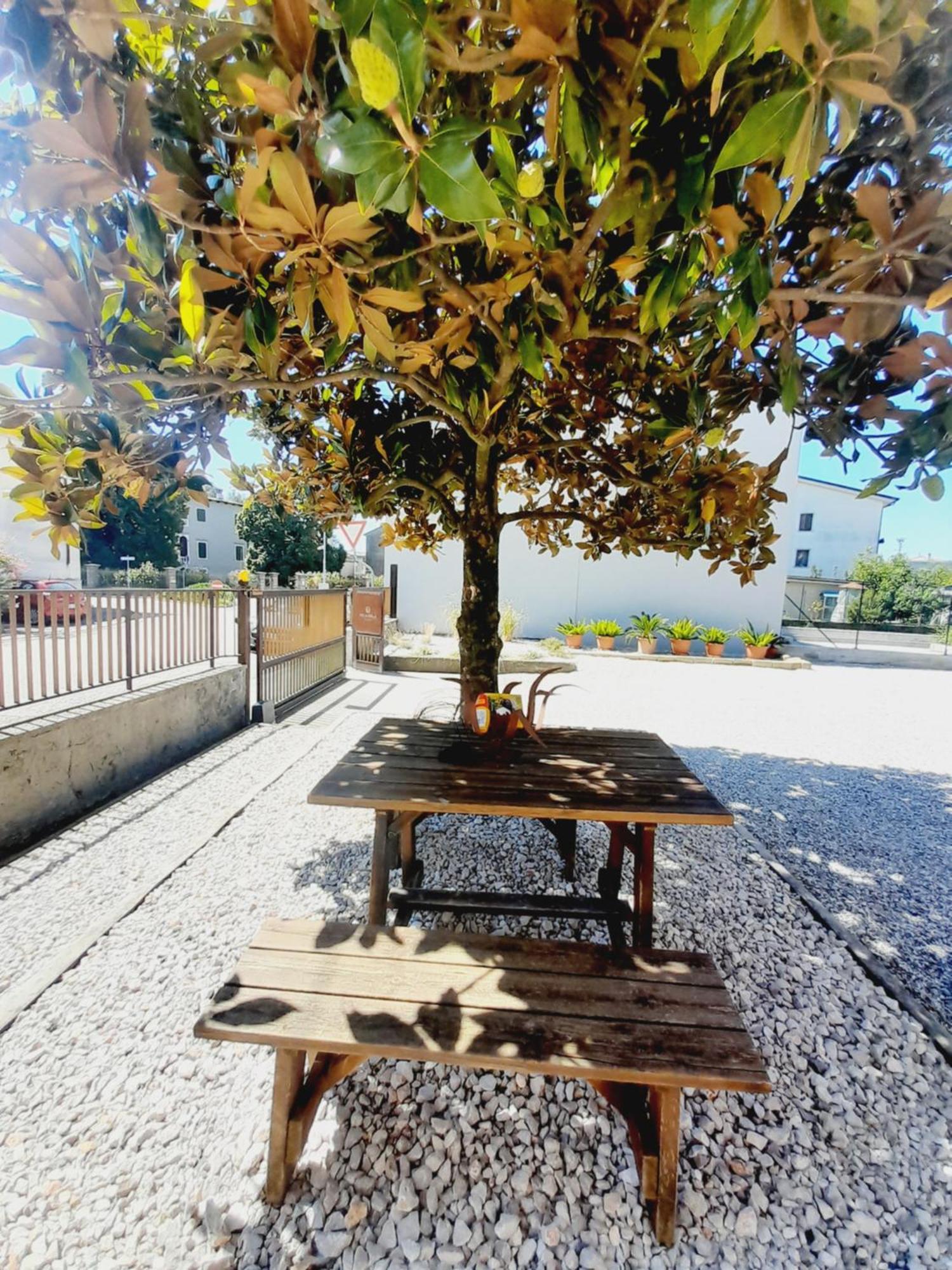 Foiarola Hotel Begliano ภายนอก รูปภาพ